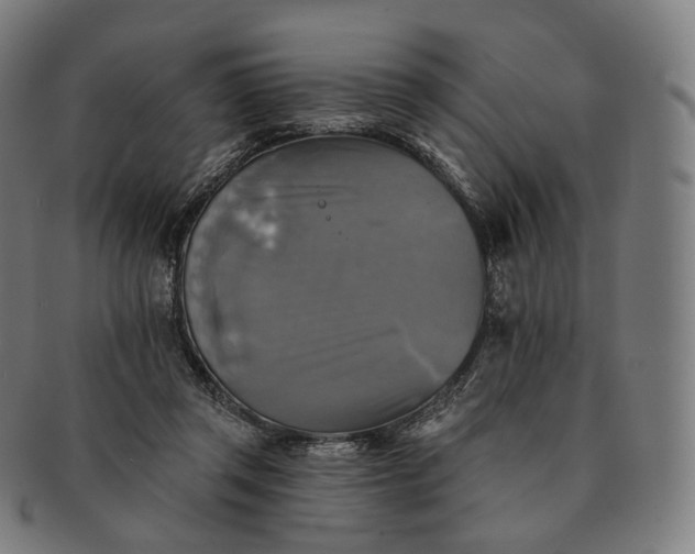 X0000091290357200708241034