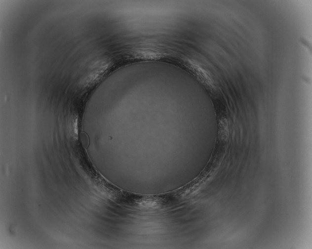 X0000091290358200708241034