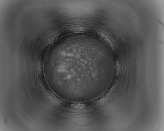 X0000091290359200708241034