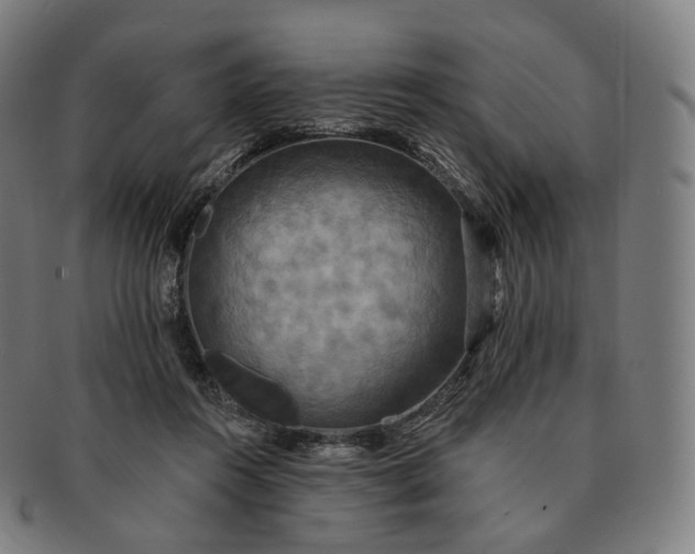 X0000091290360200708241034