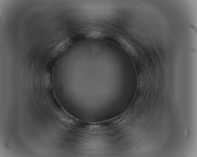 X0000091290361200708241034