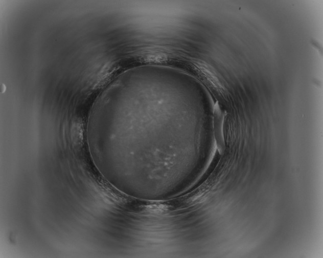 X0000091290363200708241034