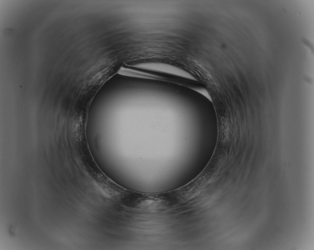 X0000091290364200708241034