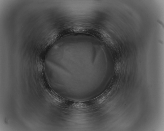 X0000091290367200708241034