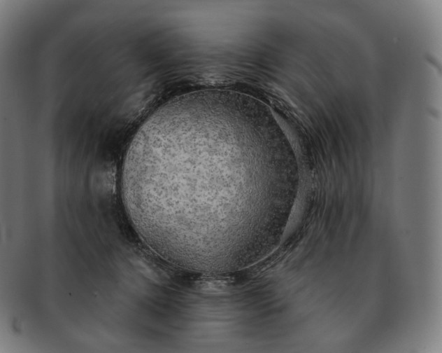 X0000091290368200708241034