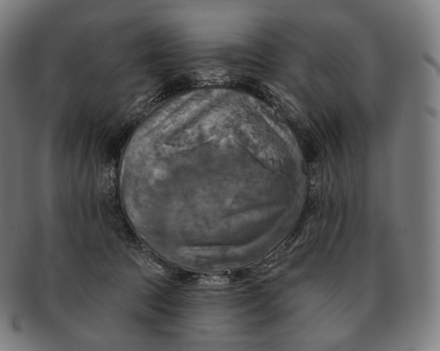 X0000091290369200708241034