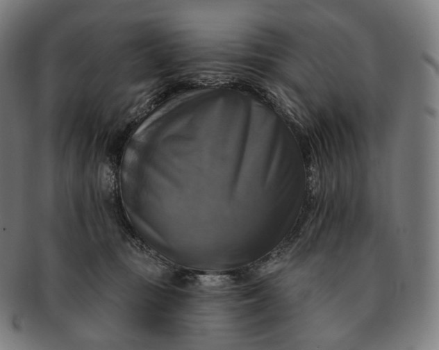 X0000091290371200708241034