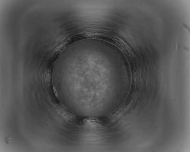 X0000091290372200708241034