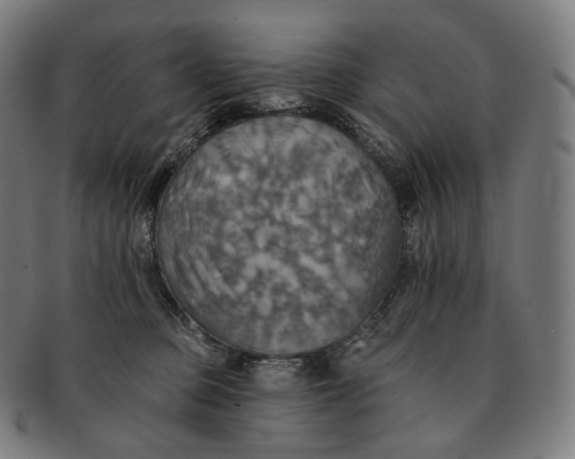 X0000091290373200708241034