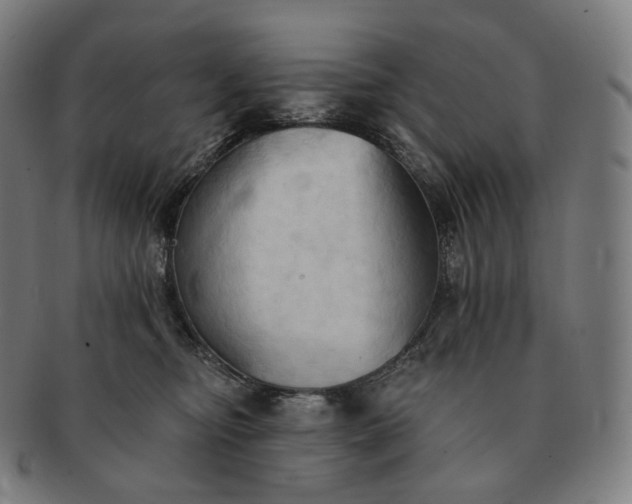 X0000091290374200708241034