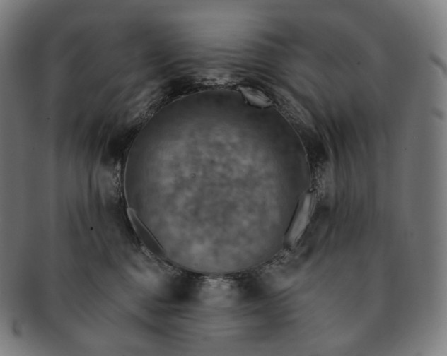 X0000091290376200708241034