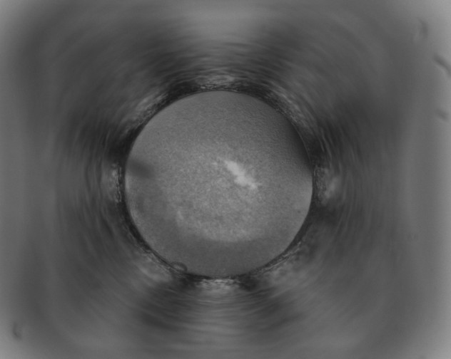 X0000091290378200708241034