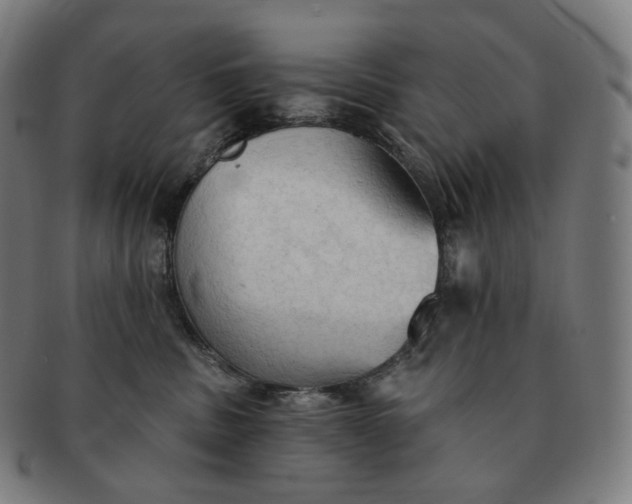 X0000091290379200708241034