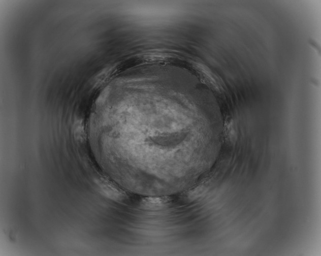 X0000091290381200708241034