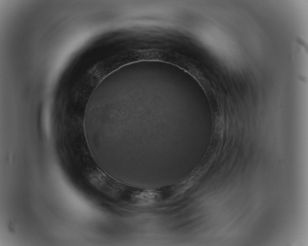 X0000091290383200708241034