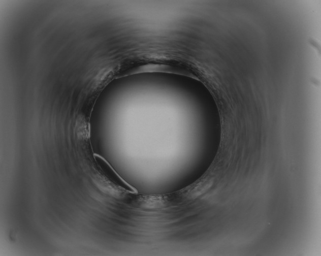 X0000091290384200708241034