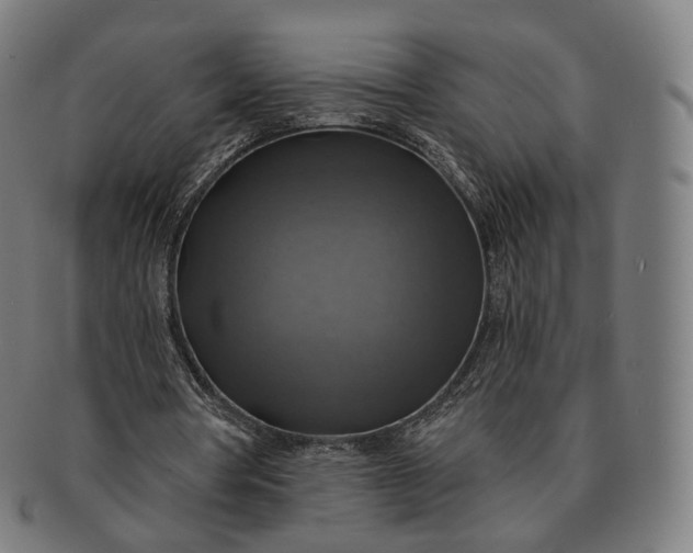 X0000091290386200708241034