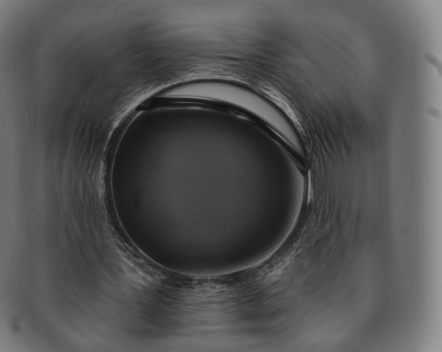 X0000091290387200708241034