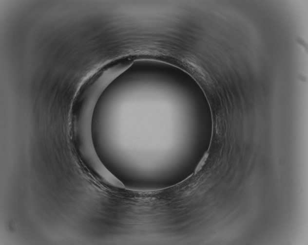 X0000091290388200708241034