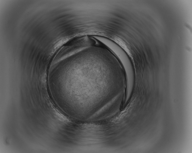 X0000091290389200708241034