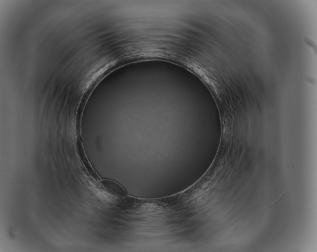 X0000091290390200708241034