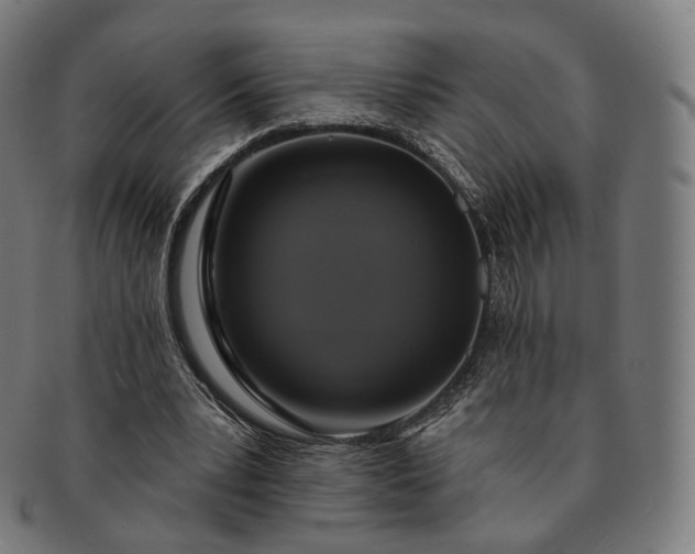 X0000091290391200708241034