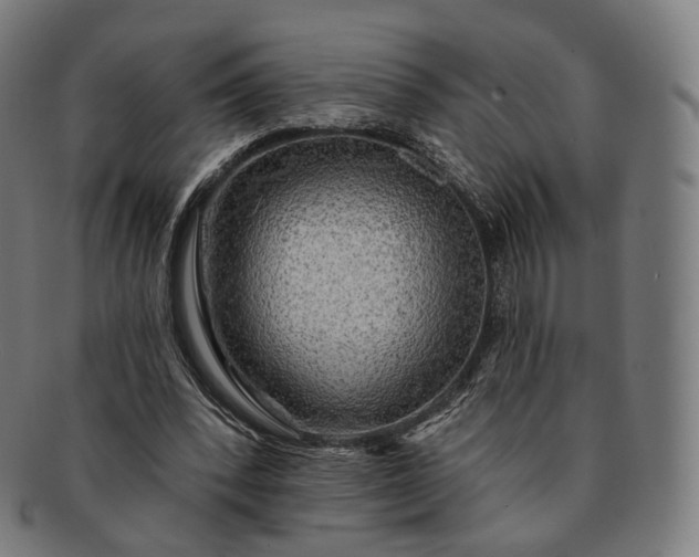 X0000091290392200708241034