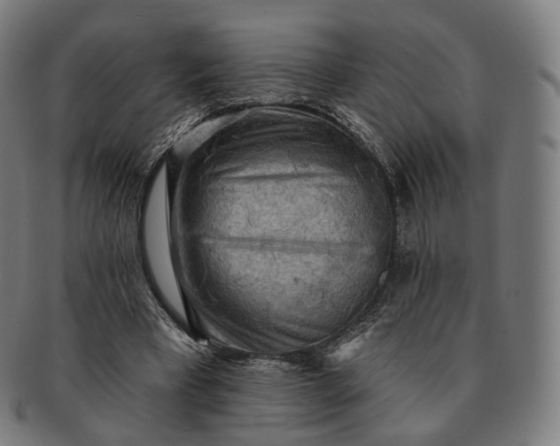 X0000091290393200708241034