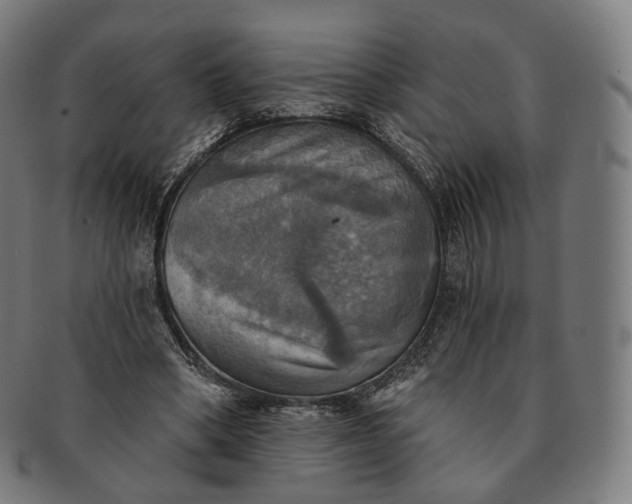 X0000091290394200708241034