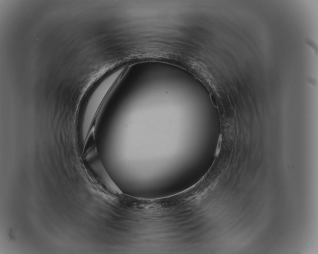 X0000091290395200708241034