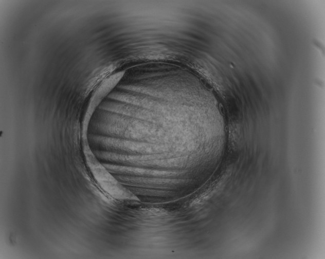 X0000091290397200708241034