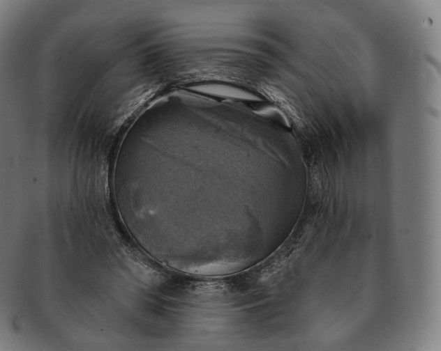 X0000091290398200708241034