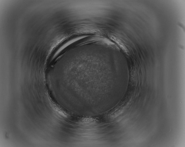 X0000091290399200708241034