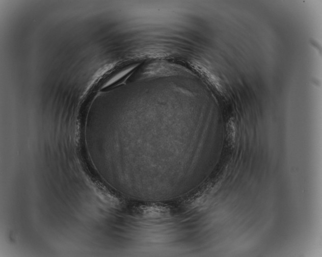 X0000091290400200708241034