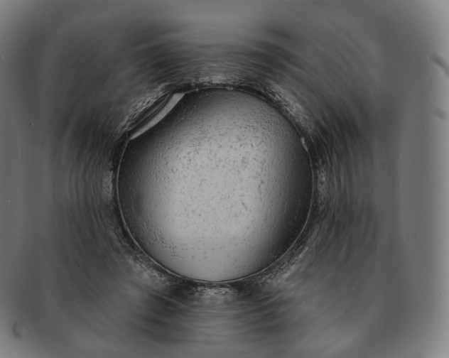 X0000091290401200708241034