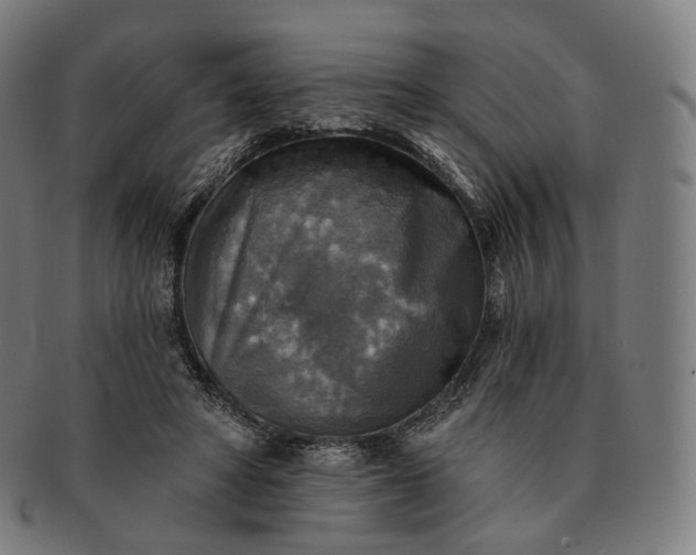 X0000091290402200708241034