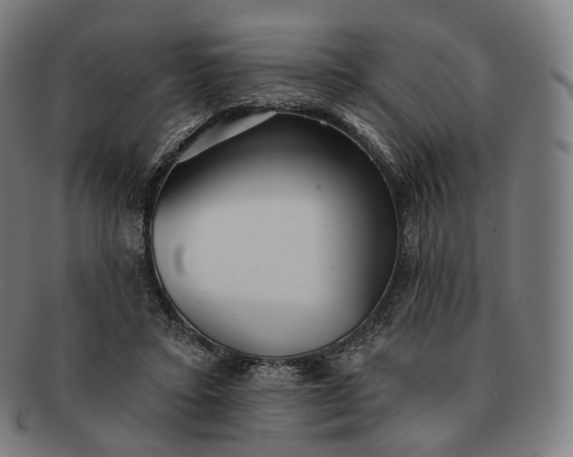 X0000091290403200708241034