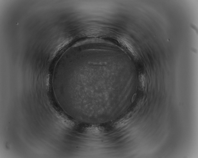 X0000091290404200708241034