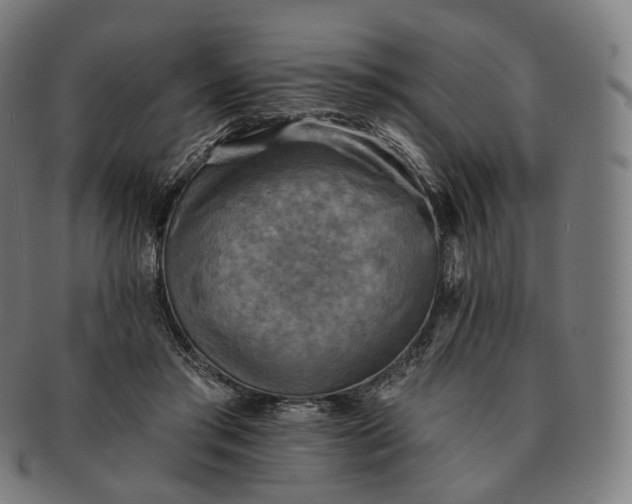 X0000091290405200708241034