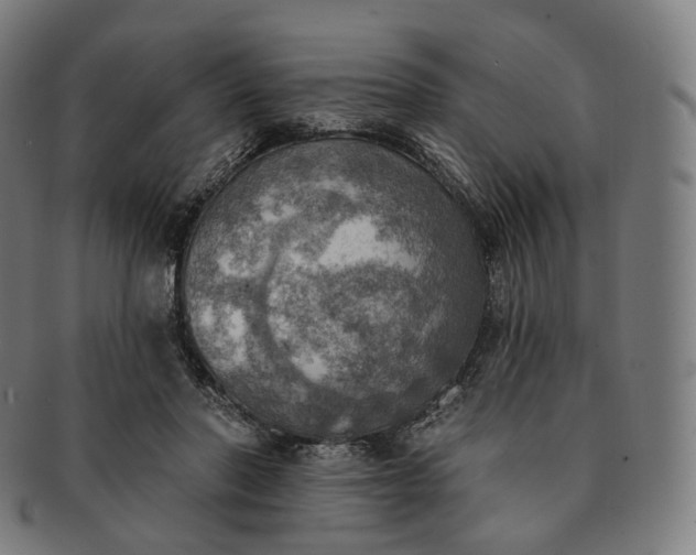 X0000091290406200708241034