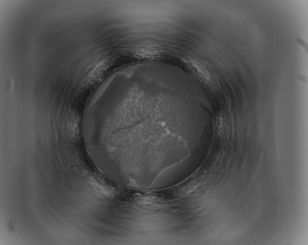 X0000091290408200708241033