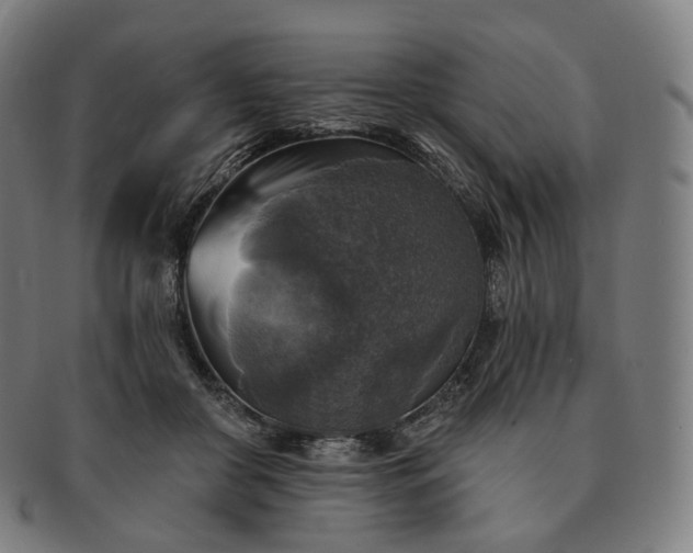 X0000091290410200708241033