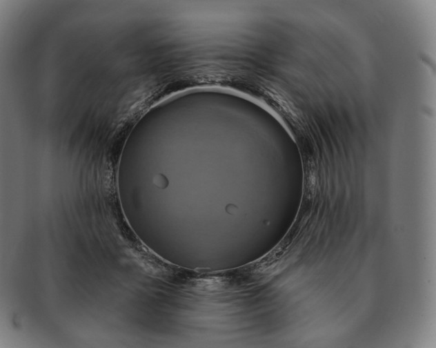 X0000091290411200708241033