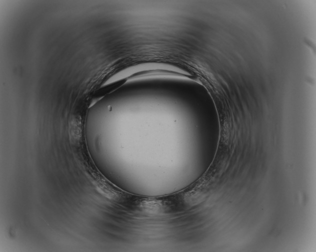 X0000091290413200708241033