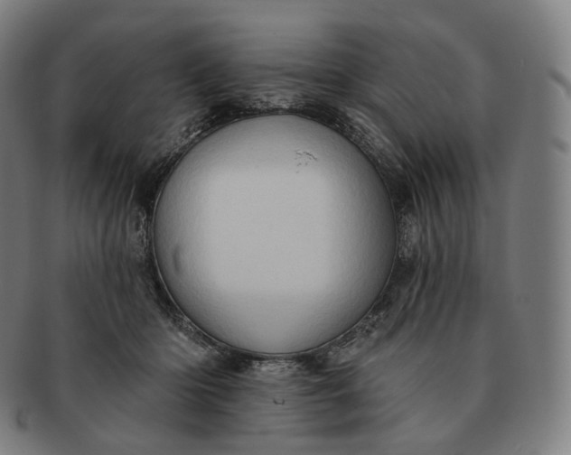 X0000091290414200708241033