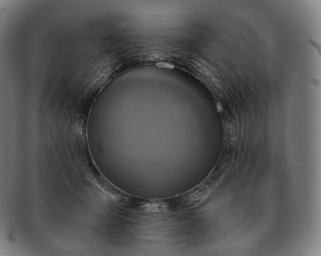 X0000091290415200708241033