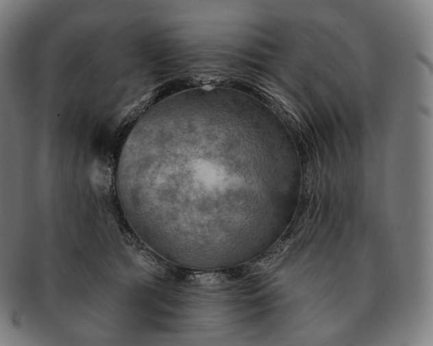 X0000091290417200708241033