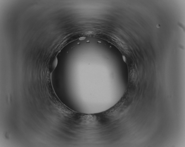 X0000091290421200708241033