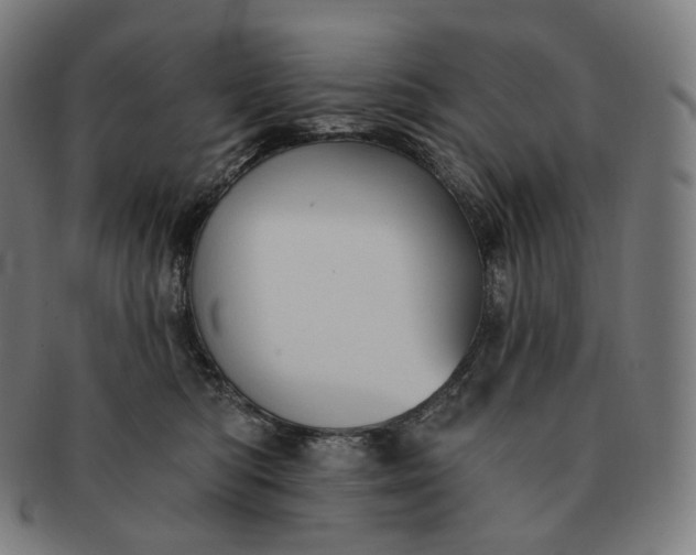 X0000091290422200708241033