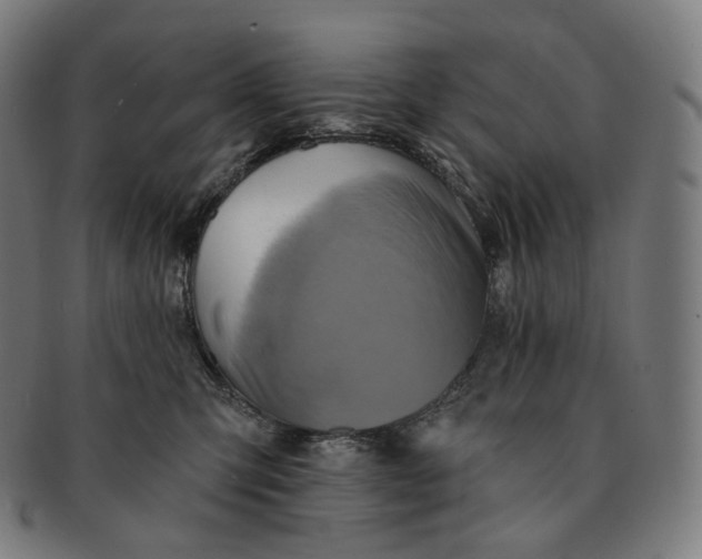 X0000091290423200708241033